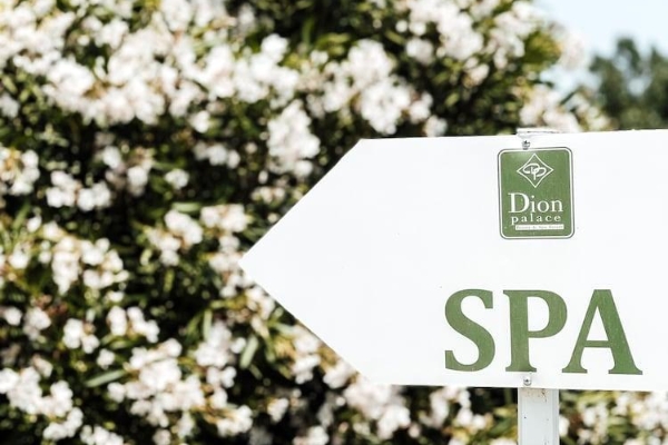 Hotel Dion Palace (Litochoro, Dion-Olympos)